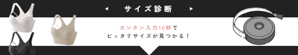 アップミースタイリングブラ：サイズ診断