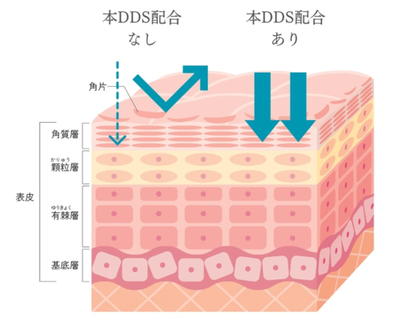 浸透技術DDSの説明図