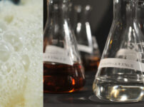 ライスパワー11