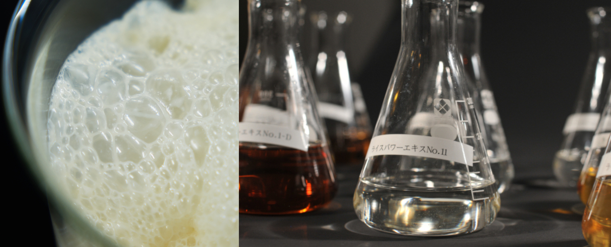 ライスパワー11