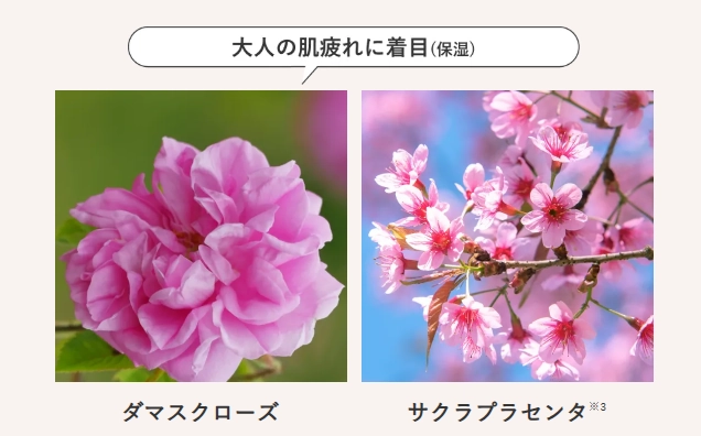 ダマスクローズ